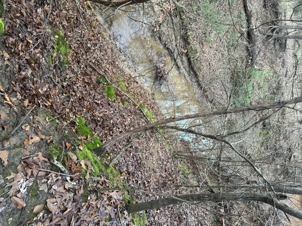 Picture 25