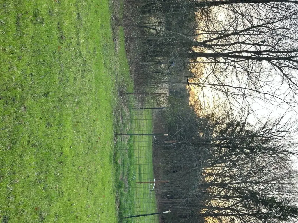 Picture 32
