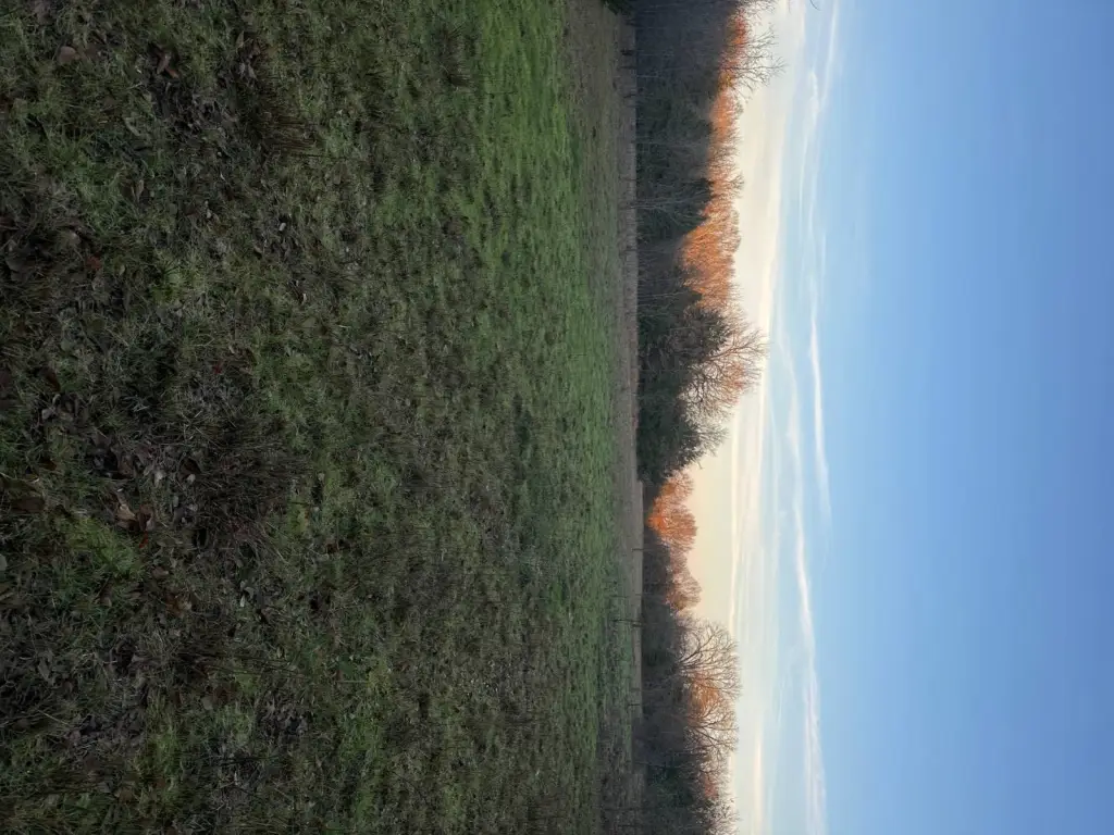 Picture 23