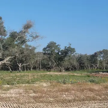 Residential Lot in Rockport, TX