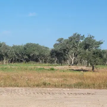 Residential Lot in Rockport, TX