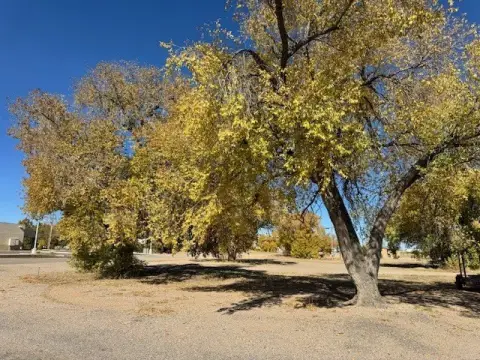 Corner Commercial Land