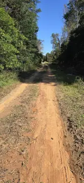 Land For Sale, Jackson, SC