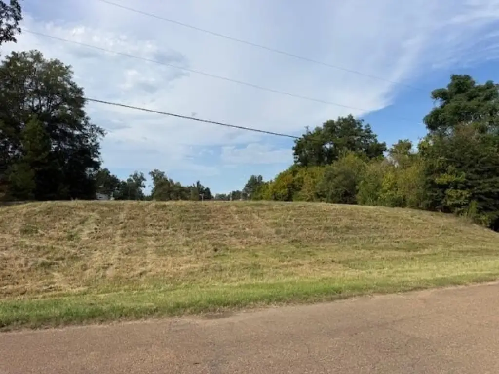 Picture 13