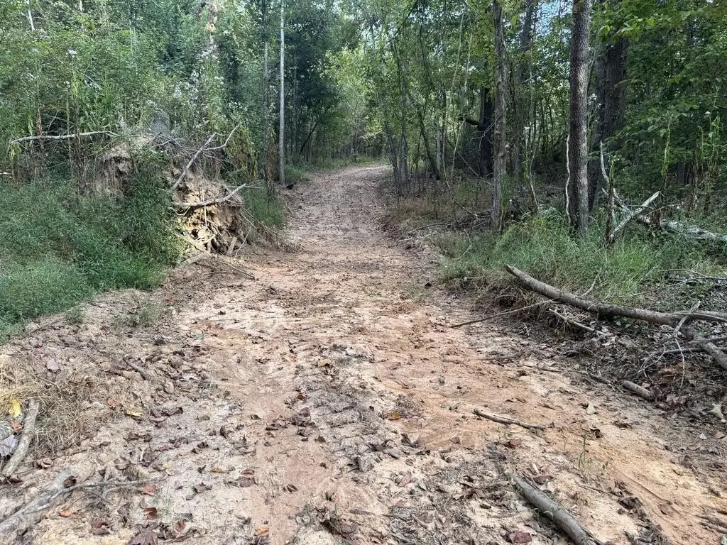 Picture 43
