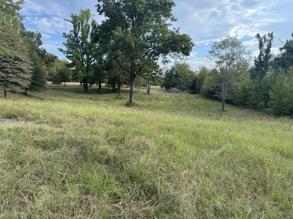 Picture 46