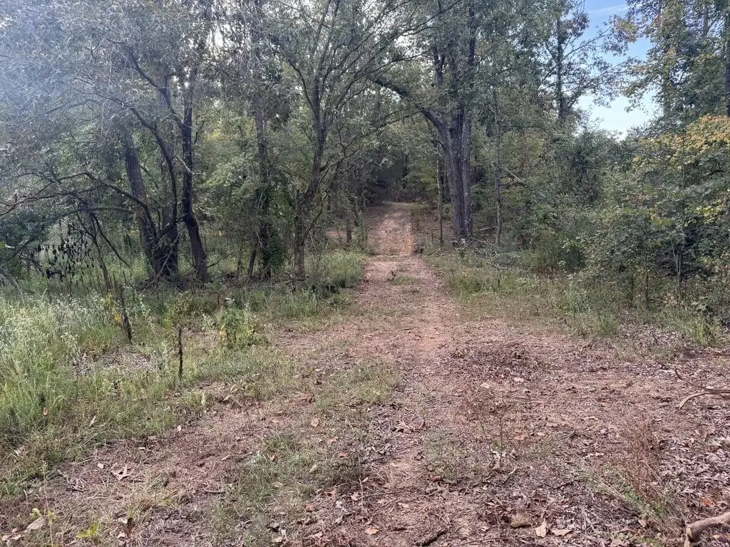 Picture 26