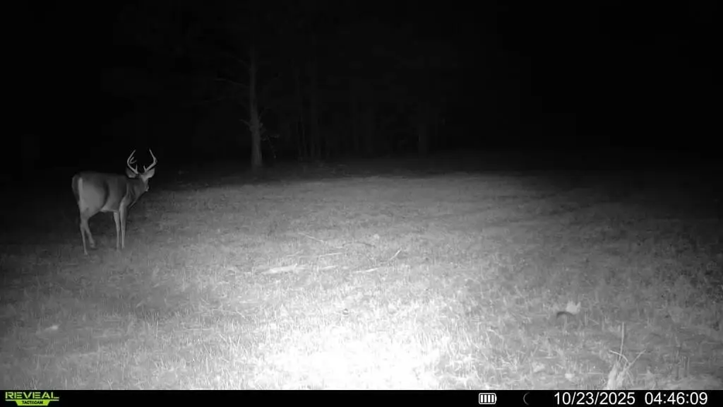 Picture 58