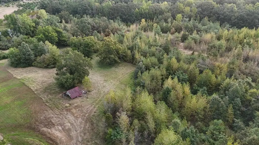 Picture 6