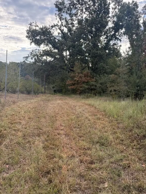 Picture 25