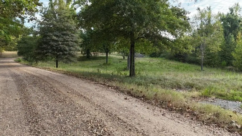 Picture 21