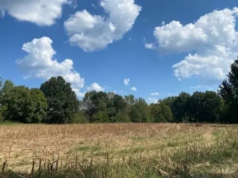 Agricultural Land with Pasture