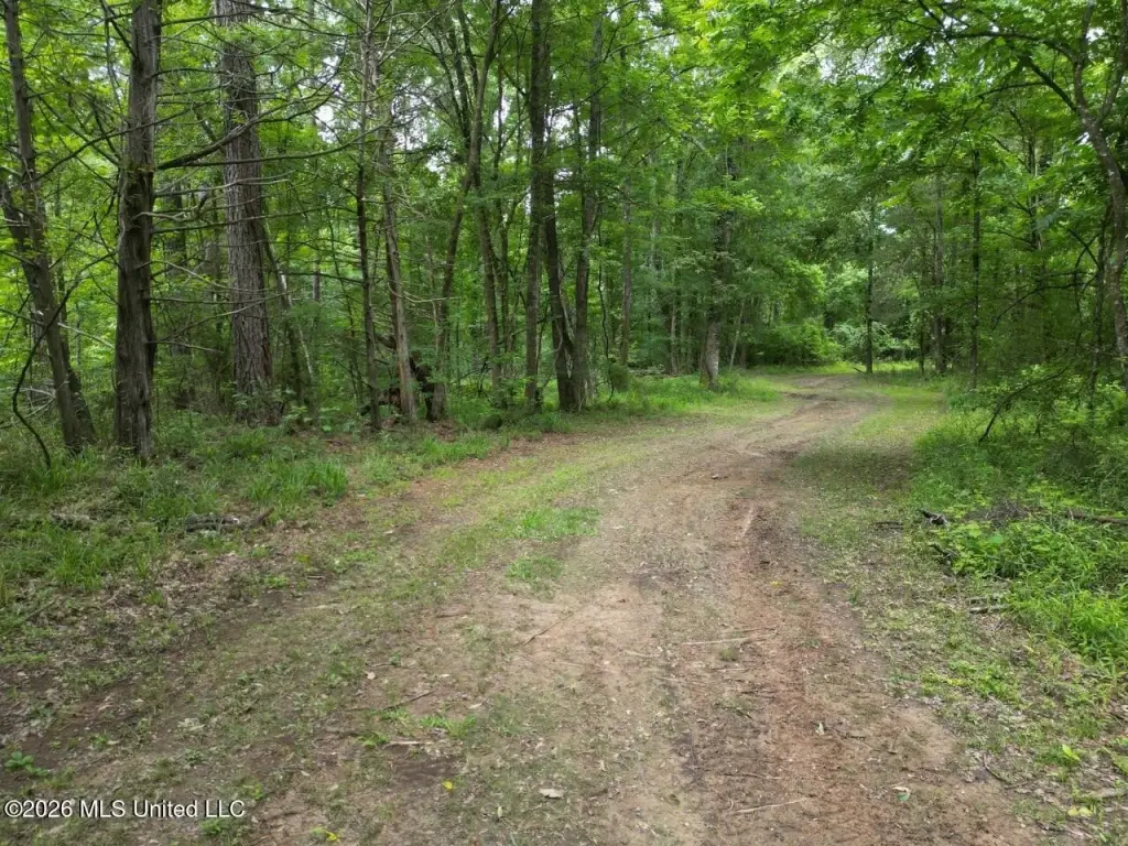 Picture 24