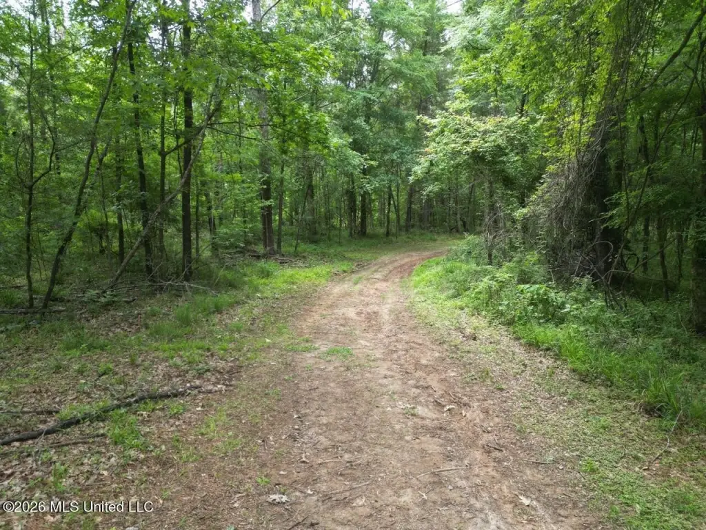 Picture 23