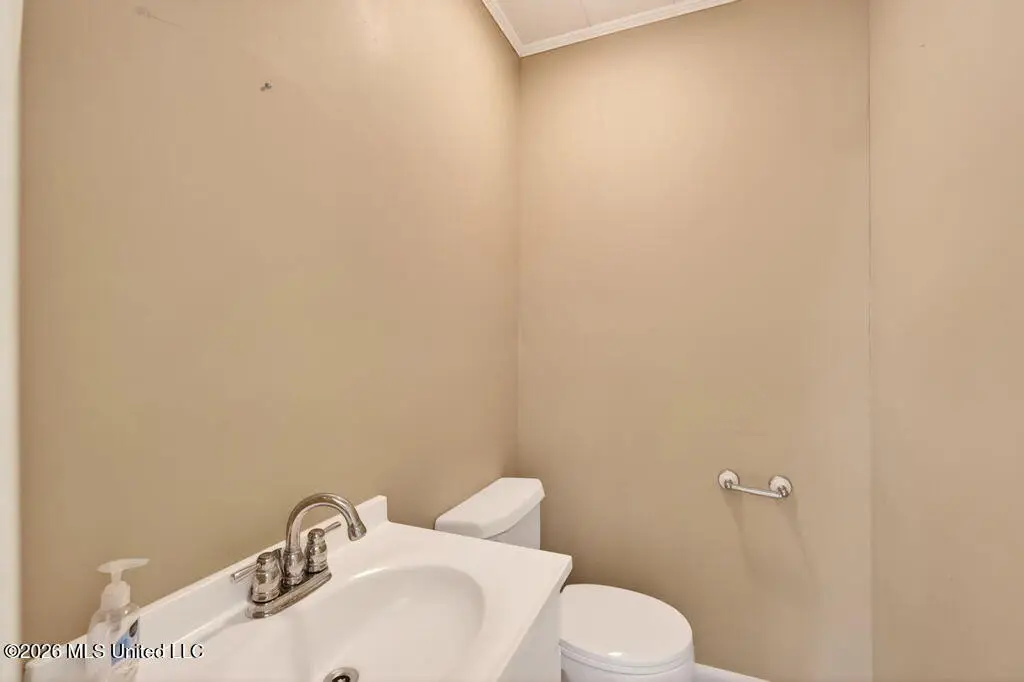 Picture 13