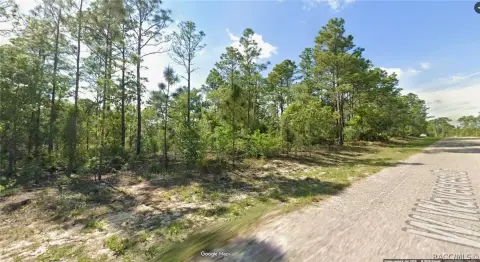 Citrus Springs Quarter Acre Parcel