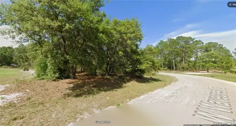 Dunnellon Homesite in Citrus Springs