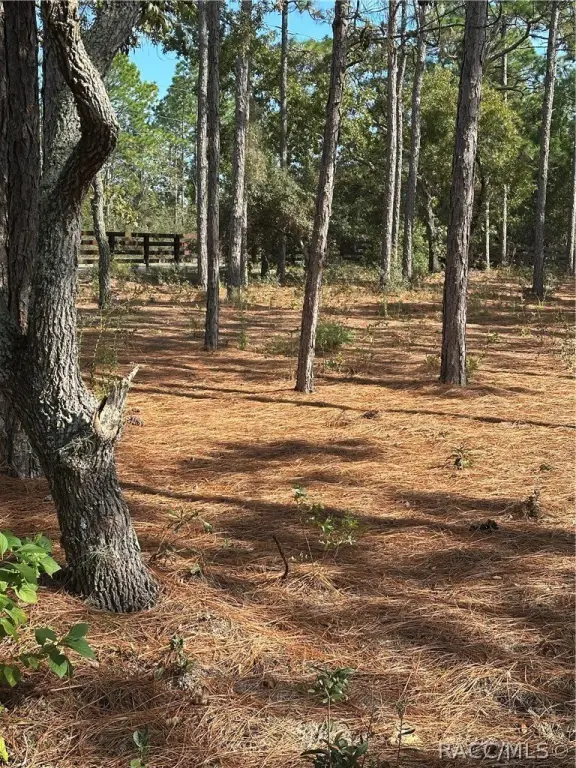 Picture 8