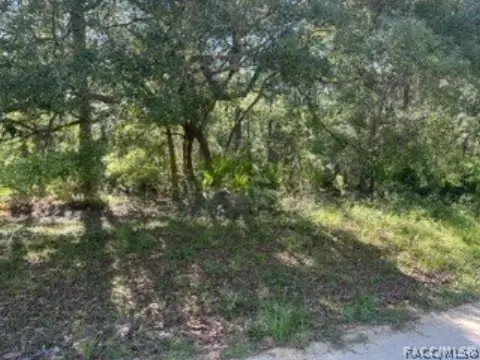 Wooded Land in Crystal River