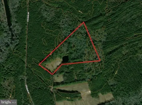 Recreational Land with Pond and Timber