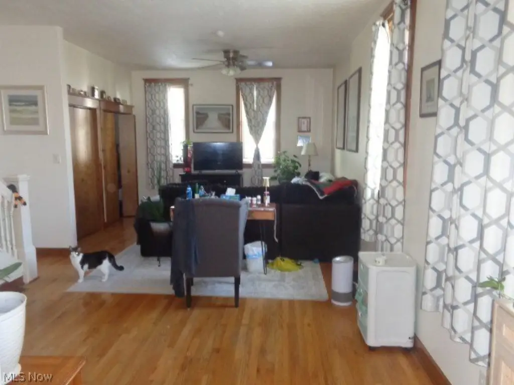 Picture 11