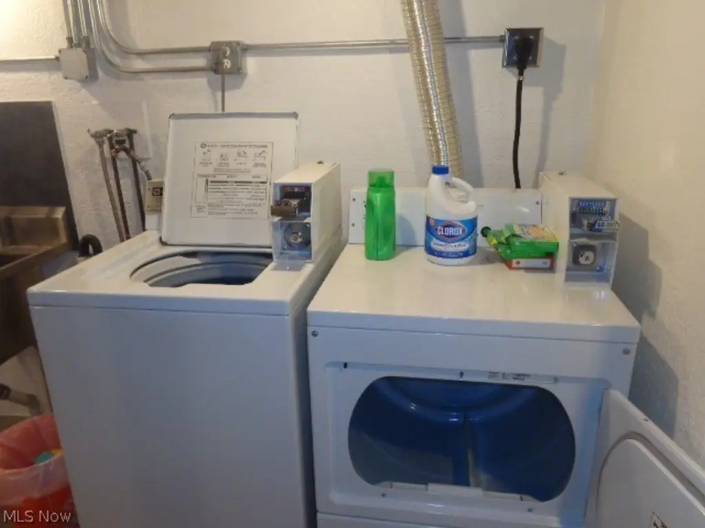 Picture 29