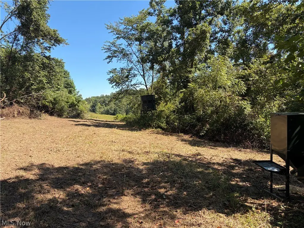 Picture 27