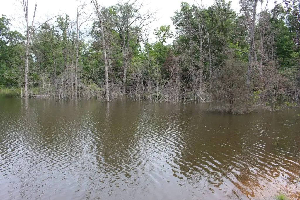 Picture 13