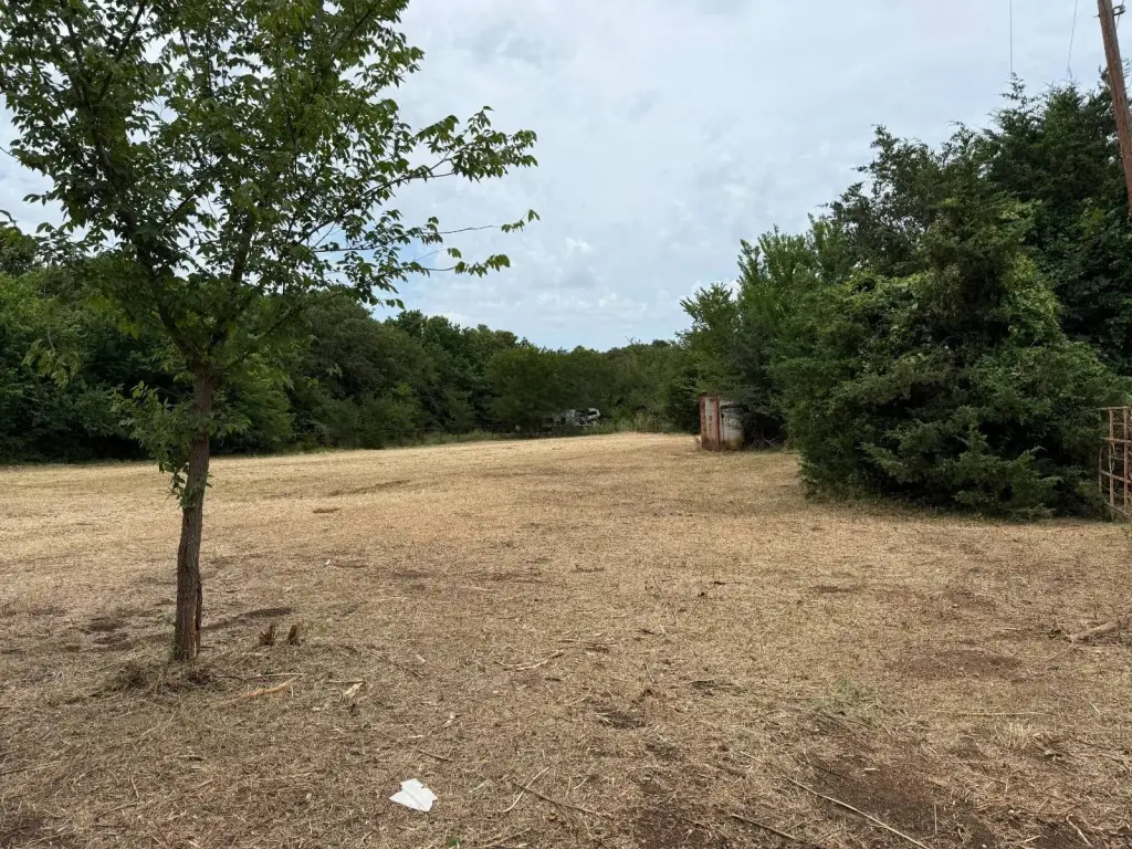 Picture 23