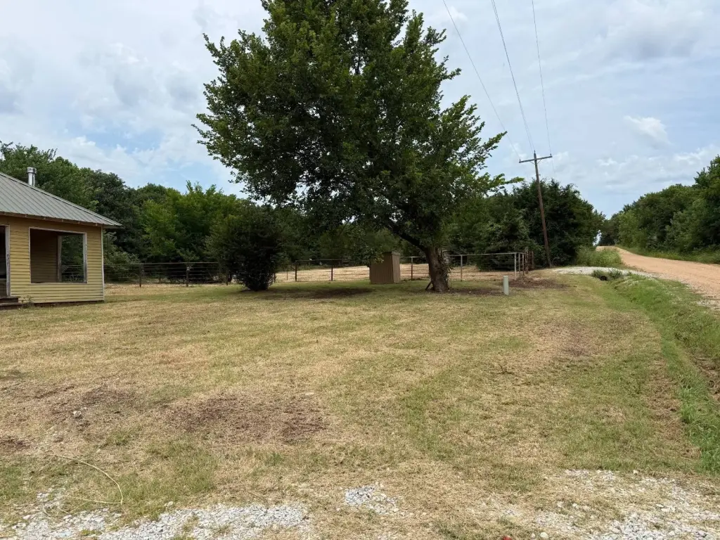 Picture 16