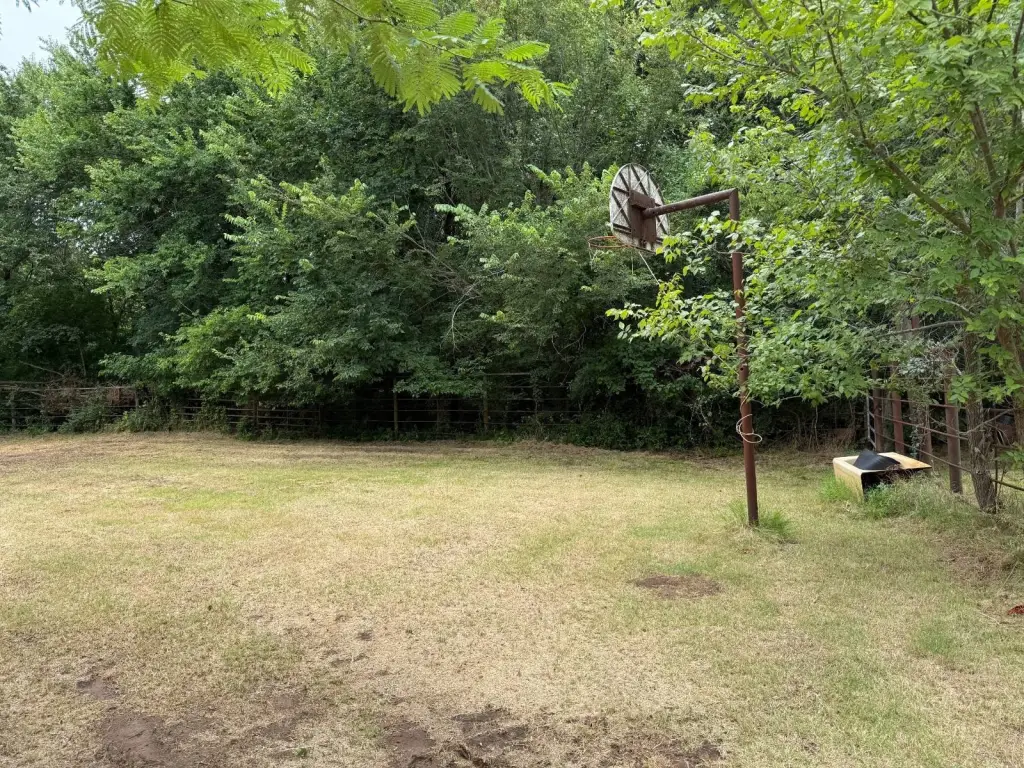 Picture 17
