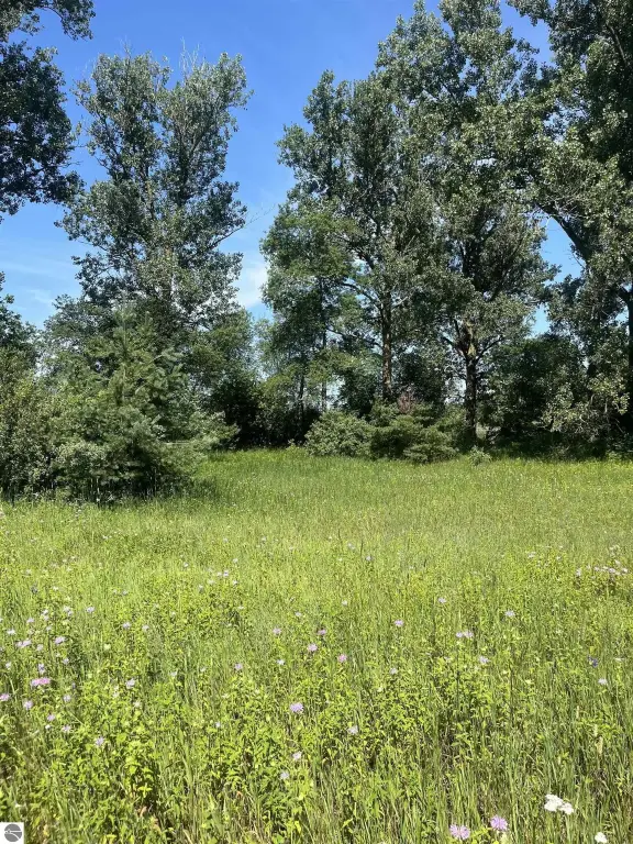 Picture 19