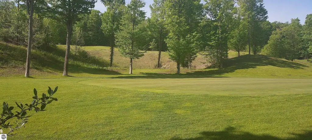 Picture 5