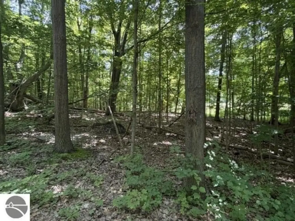 Picture 10