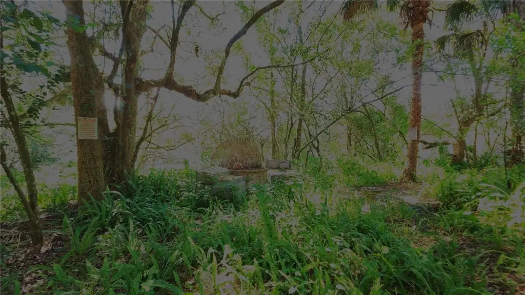 Picture 24