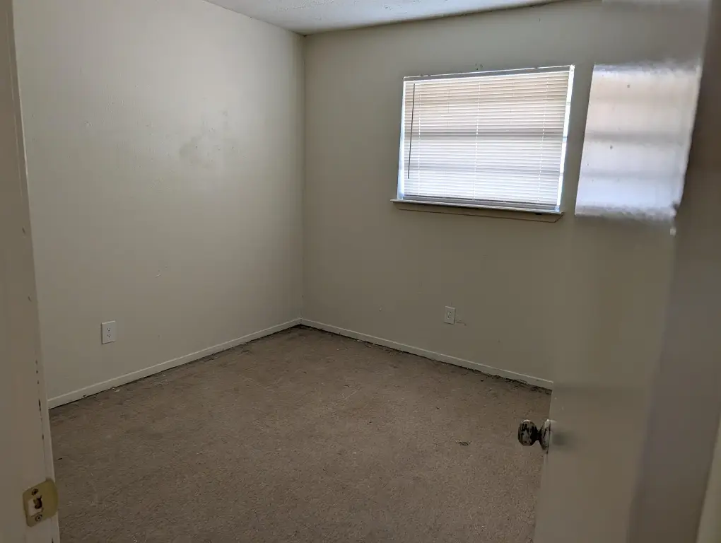 Picture 4