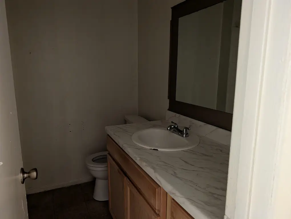 Picture 7