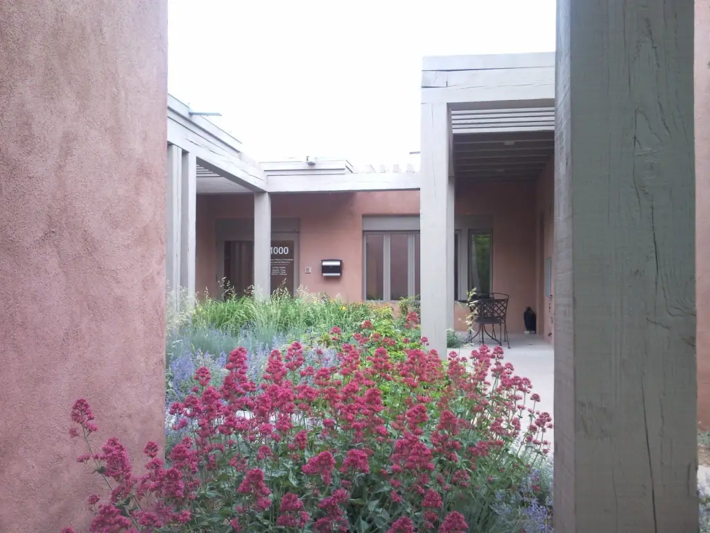 Picture 6