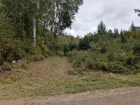 Wooded Land Near Chequamegon Forest