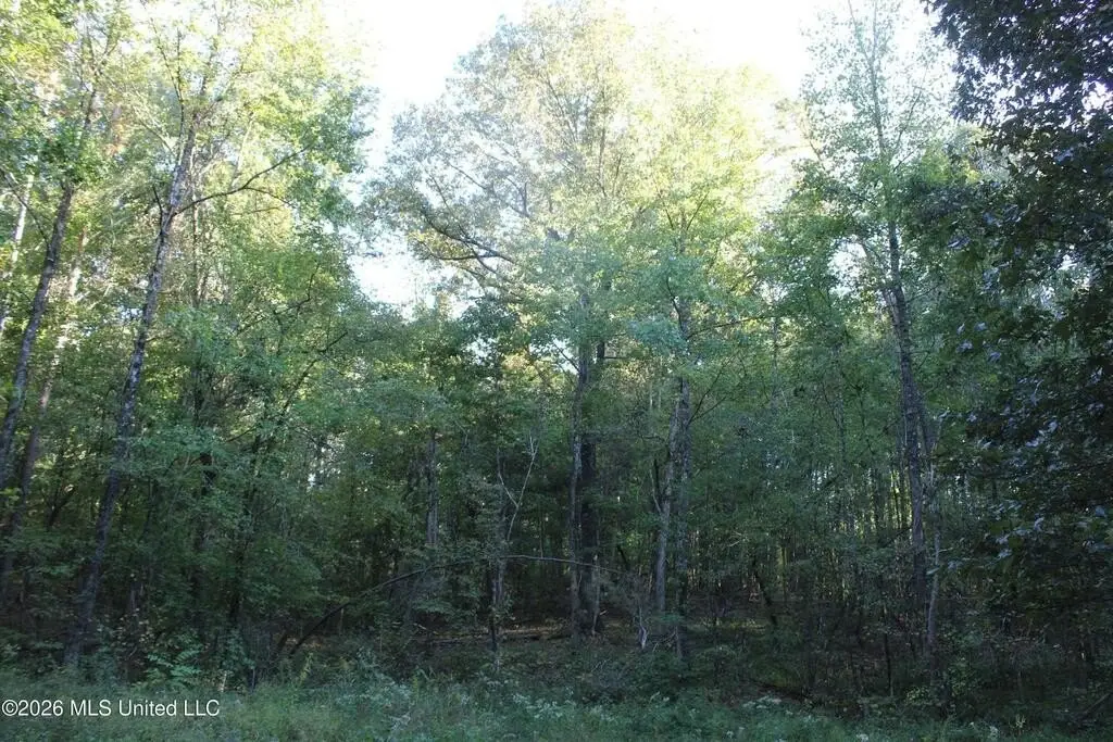 Picture 23