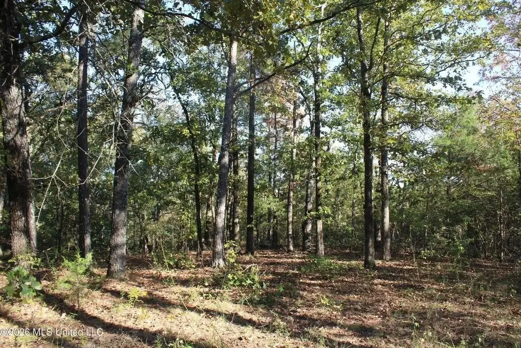 Picture 41