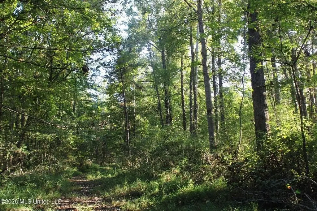 Picture 47