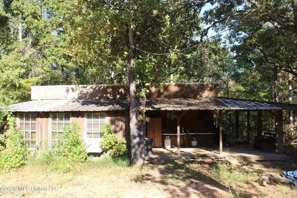 Picture 3