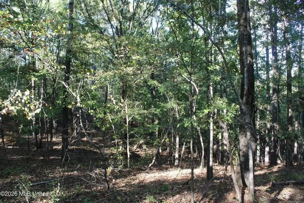 Picture 32