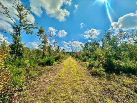 Neillsville Hunting and Recreation Land