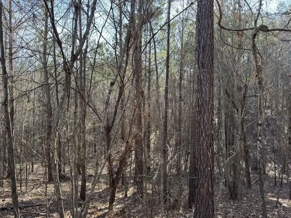 Picture 43