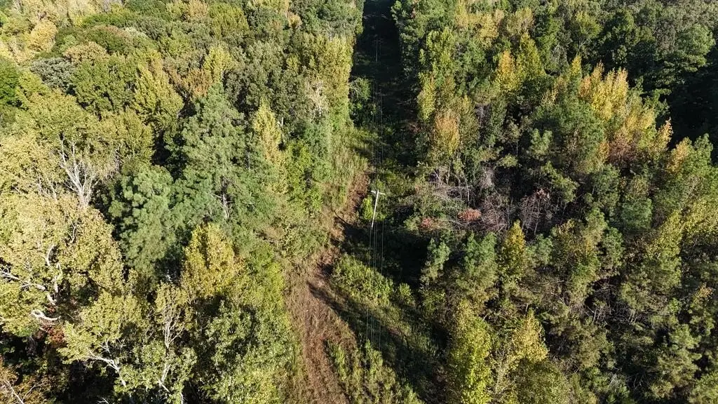 Picture 17