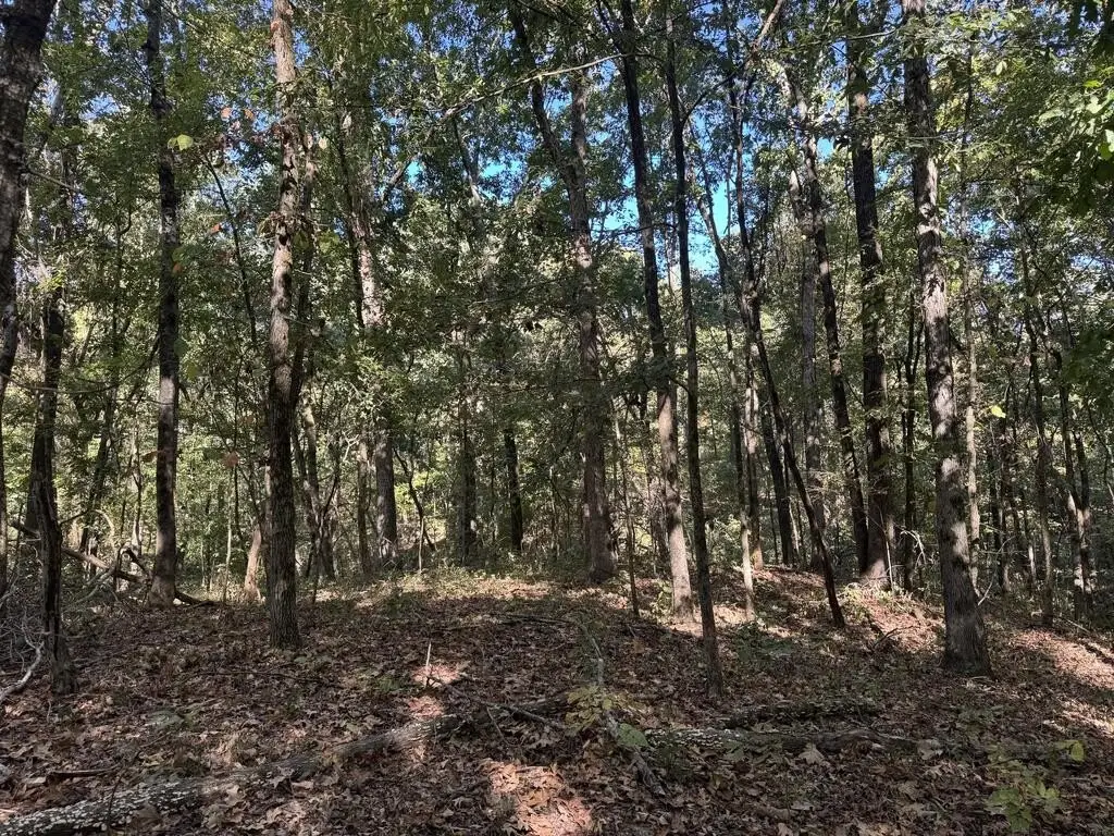 Picture 25