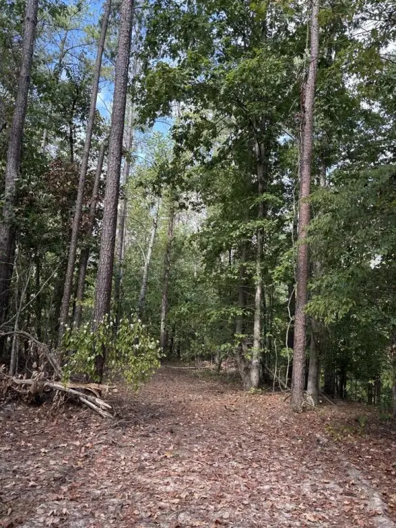Picture 30