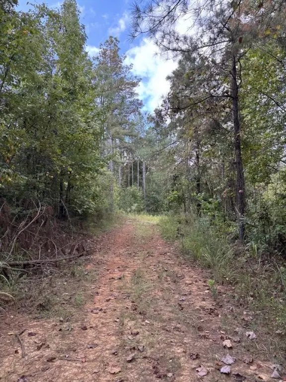 Picture 16